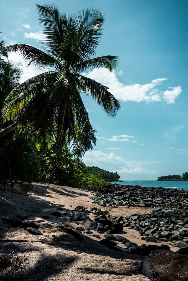 La Guyane : Activités phares, destinations prisées et sites à ne pas manquer