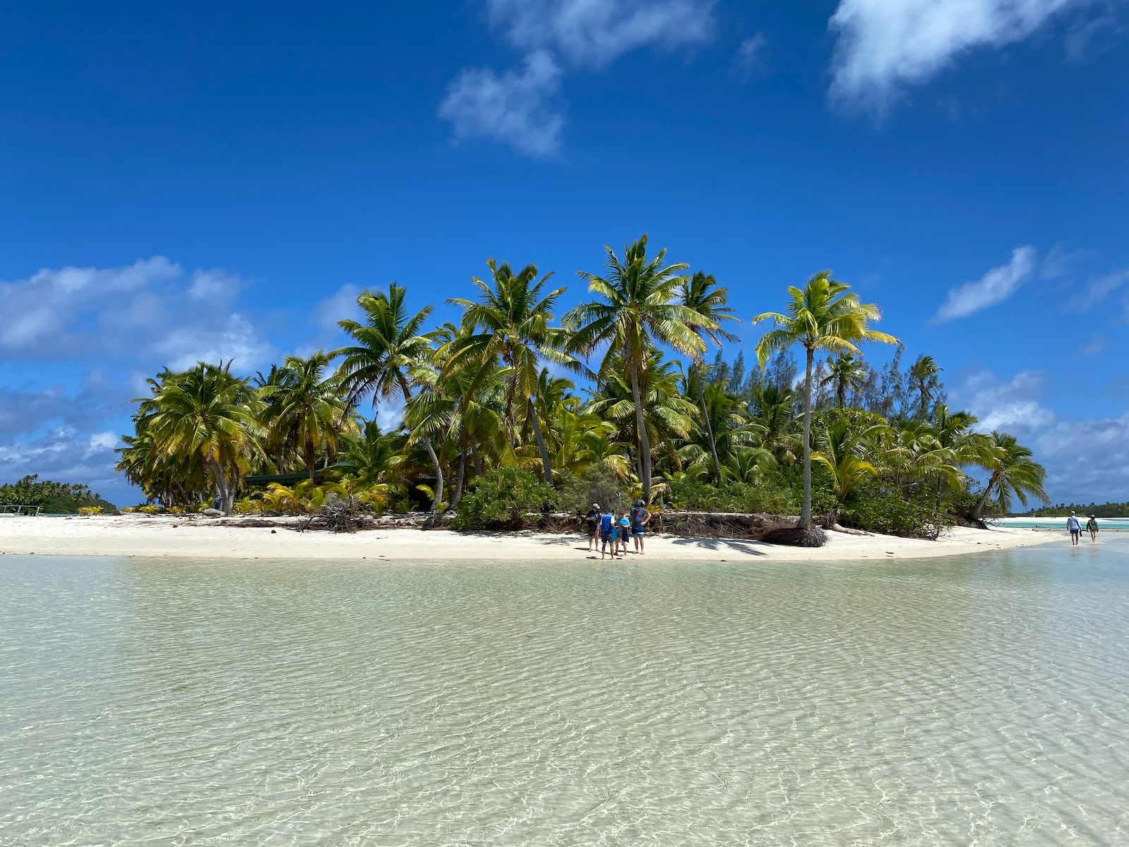 people on beach during daytime